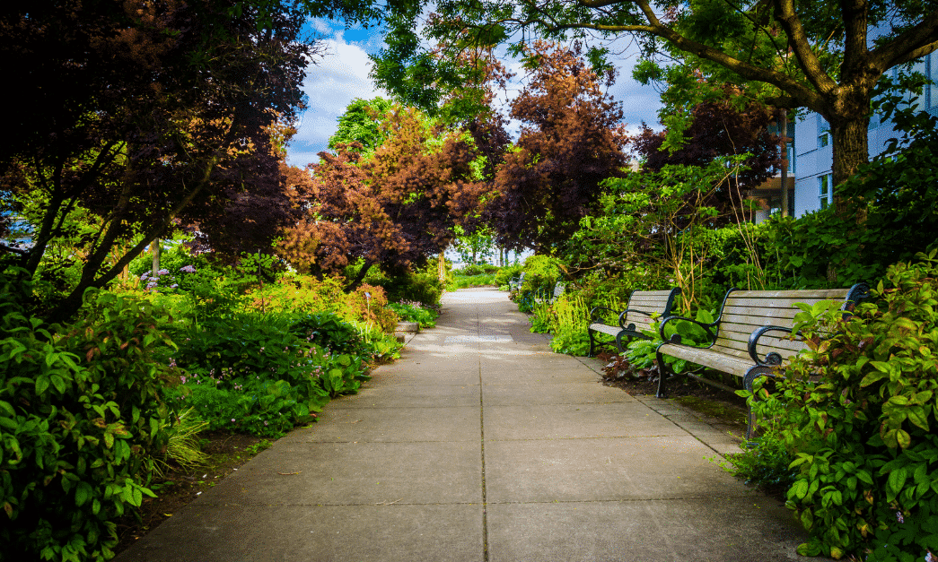 South Waterfront Park in Portland Oregon. Find South Waterfront Homes for Sale at Change Realty, home of the 1% Listing fee.