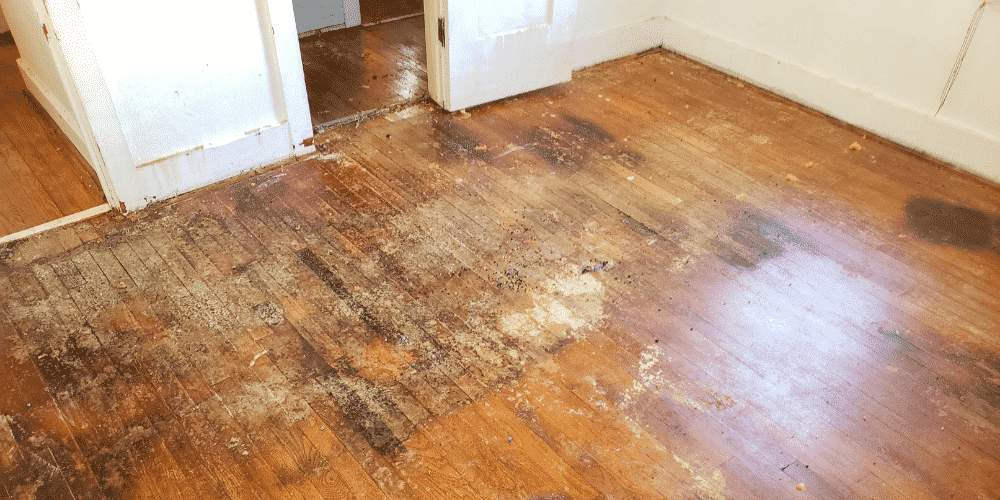 not addressing flooring issues is a common seller mistake