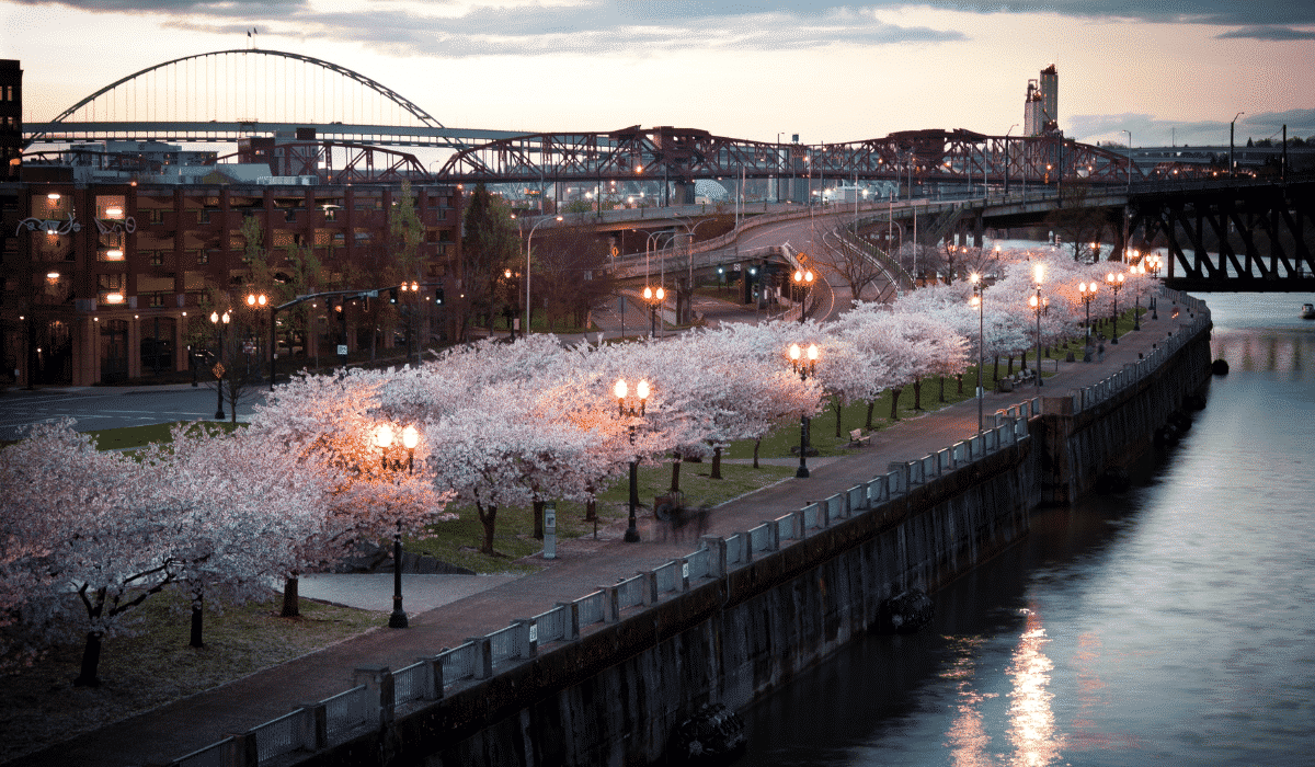 tom mccall waterfront park is one of the best things to do in portland